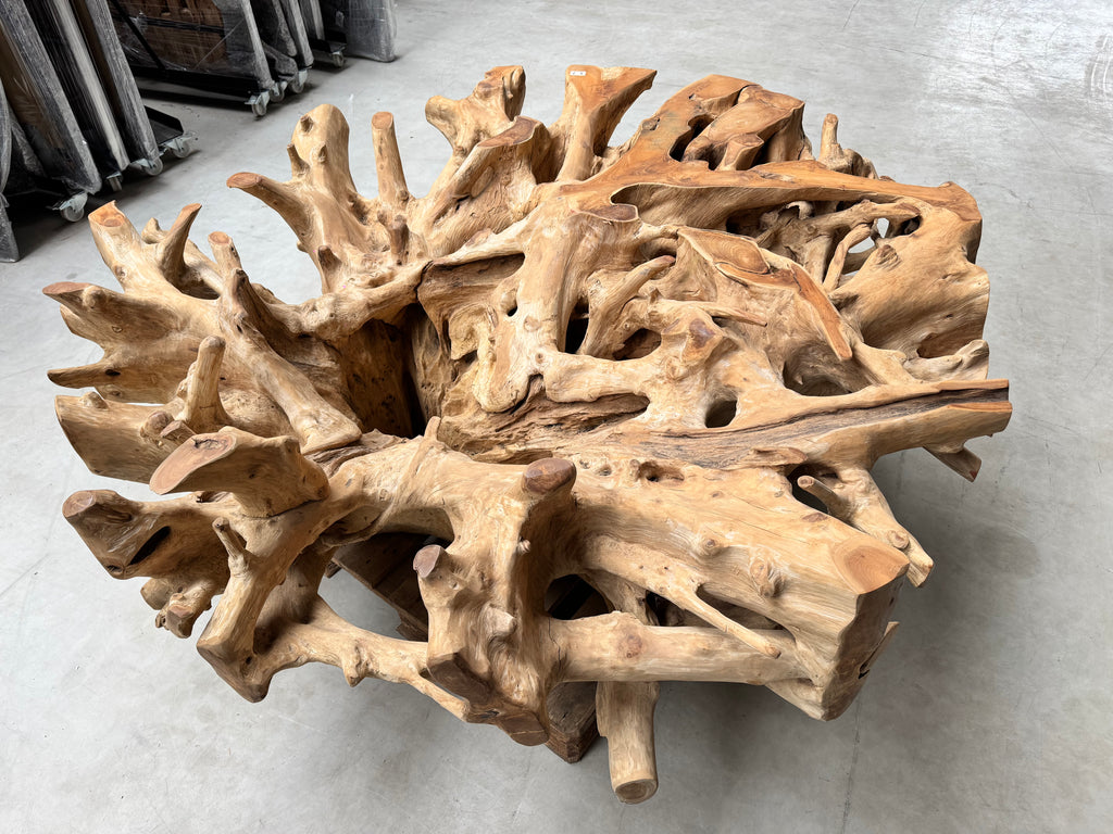 runder Glastisch auf einer Teakwurzel